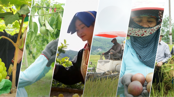 Quảng Ninh tạo sinh kế dài hạn từ nền tảng an sinh bền vững